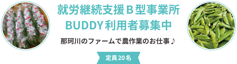 就労継続支援B型事業所BUDDY利用者募集中